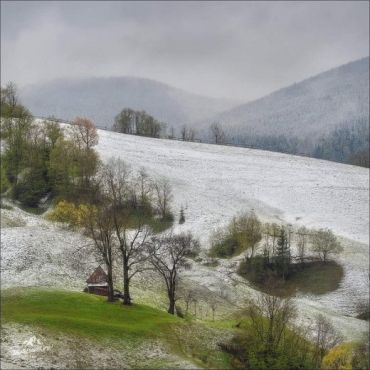 Середина травня, а гори Закарпаття знову накрило сніговим "покривалом"