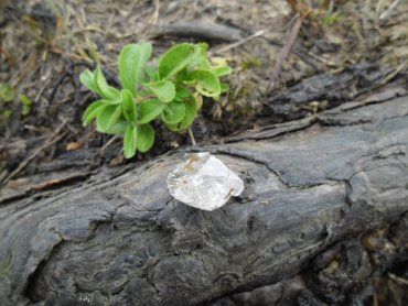 Житель Міжгірщини відшукав угорах справжній карпатський "діамант"
