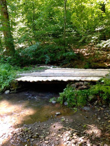 Закарпаття. Лісівники взялись за ремонт лісових мостів Іршавщині