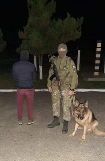 У Карпатах прикордонний пес вивів на слід 18-річного "товариша" контрабандистів