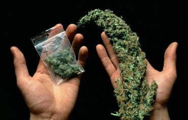Поліція Закарпаття затримала юнака, котрий отримав поштою два пакунки з марихуаною