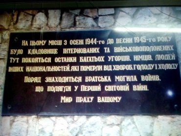 Закарпаття. У регіоні немає угорської сім’ї, де б не загинули один-два чоловіки у концентраційному таборі у Сваляві
