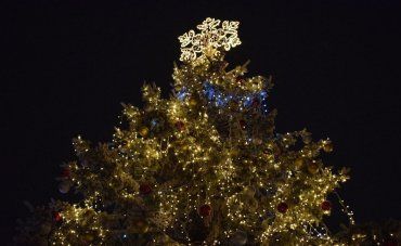 Головна новорічна ялинка міста Ужгород завтра запалає святковими вогнями!
