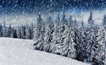 Прогноз погоди в Закарпатті на четвер, 16 січня