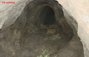 Проритий під кордоном тунель знайшла поліція Угорщини