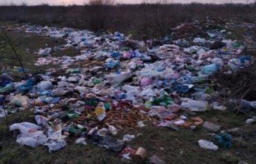 Українське Закарпаття — справжній "сміттєвий рай"