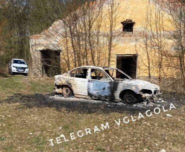 Автомобіль "валютних грабіжників" знайшли спаленим у лісі на Закарпатті