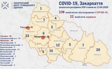 Кількість інфікованих коронавірусом на Закарпатті сягнула 230 чоловік
