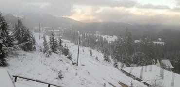 Бонус-"нежданчик"! В горах Закарпатья выпал снег
