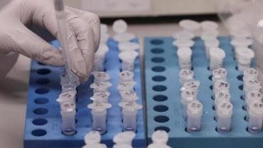 Официальное число заболевших коронавирус на Закарпатье перевалило за четыре сотни