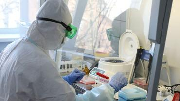 В Закарпатье коронавирус COVID-19 официально подтвержден у 531 человека