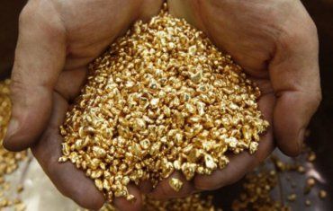 Закарпаття. Avellana Gold видобуватиме за рік півмільйона тонн "золотої" руди на Мужіївському родовищі