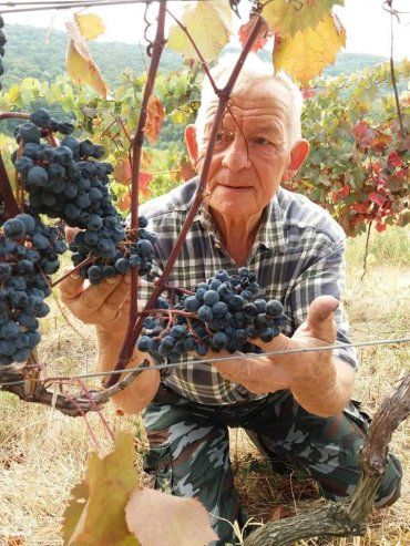 Закарпаття. Відомий винороб Іван Урста відсвяткував свій 75-річний ювілей