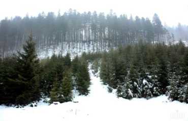 Укргидрометцентр объявил снеголавинную опасность на Закарпатье