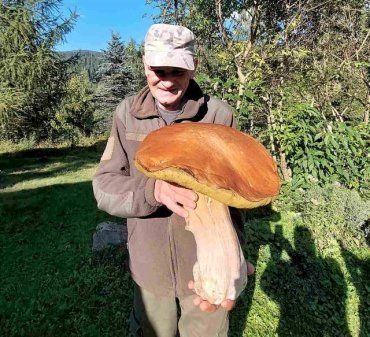В Карпатах нашли огромный гриб: Такие редкие экземпляры попадаются не всем!