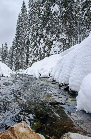 В Закарпатье предупредили о повышении уровня воды в реках