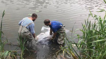 На Закарпатье вода забирает жизни даже в ноябре: Найден еще один труп 