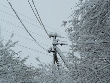  В Закарпатье шквальный ветер и мокрый снег оставили без света 271 населенный пункт 