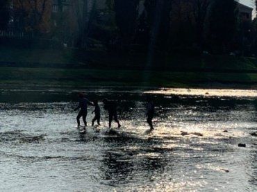 В Закарпатье группа цыган напала на беззащитного лебедя 