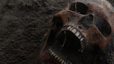 Возле Ужгорода прохожий в канале обнаружил человеческие останки 