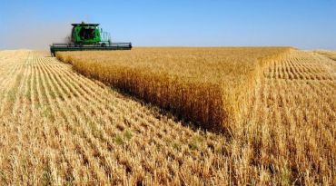 Словакия расширит эмбарго на украинскую агропродукцию до 14 позиций 