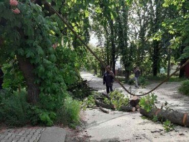 Порывы ветра стали причиной ЧП в Ужгороде 
