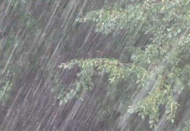 В Закарпатье ожидают мощный ливень со штормовым ветром