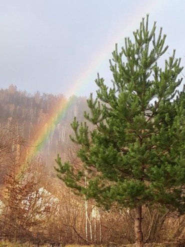 В Закарпатье на начале ноября увидели редкое оптическое явление