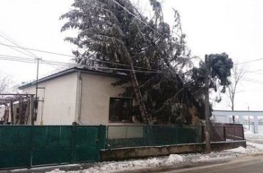 В Закарпатье ураганный ветер натворил беды