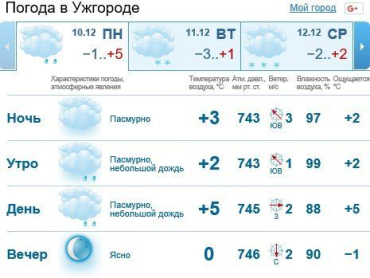 10 декабря в Ужгороде будет облачно, мелкий дождь