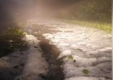 В Житомирской области среди лета выпал снег