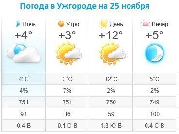 Прогноз погоды в Ужгороде на 25 ноября 2019