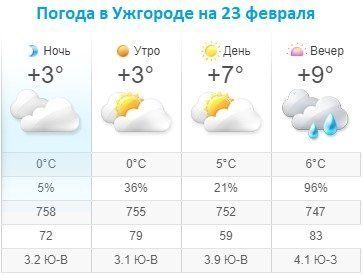 Прогноз погоды в Ужгороде на 23 февраля 2020