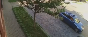 В Мукачево разыскивают автооленя, вытворявшего непонятно что на дороге 