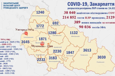 В Закарпатье почти 400 людям поставили диагноз "коронавирус"