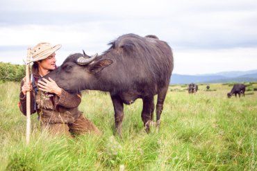 Німецький еколог рятує буйволів на Закарпатті