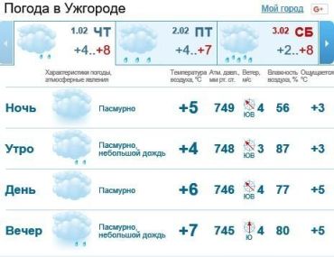1 февраля в Ужгороде дбудет облачно, дождь