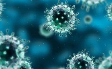 В Закарпатье количество инфицированных коронавирусом скоро сравняется с "числом Зверя"
