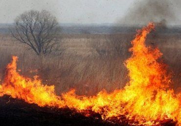 В результате возгорания травы в Закарпатье от ожогов погиб человек