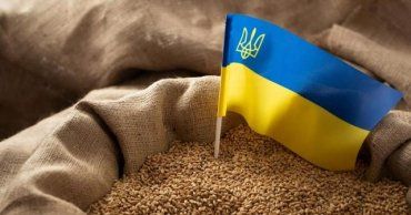 Польша запретила ввоз зерна и другой с/х продукции из Украины 