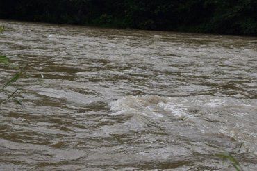 Найденный в реке Тиса в Закарпатье утопленник оказался жителем Мариуполя