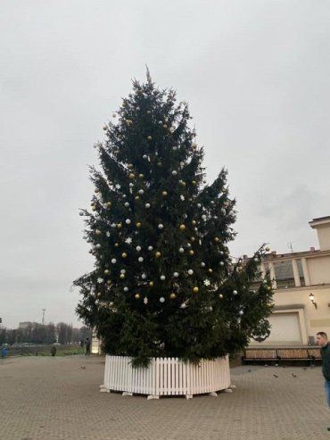 Сколько потратили на украшения для новогодней ёлки в Ужгороде: На что ушли деньги 