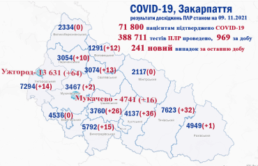 В Закарпатье за сутки добавился 241 больной COVID-19