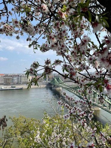 В Будапеште 1 апреля побит температурный рекорд 