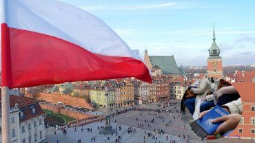 Домой из Польши планирует вернуться только половина украинских беженцев