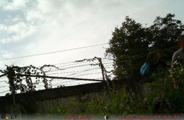 В Закарпатье на границе уклонистов "палят" фотоловушки