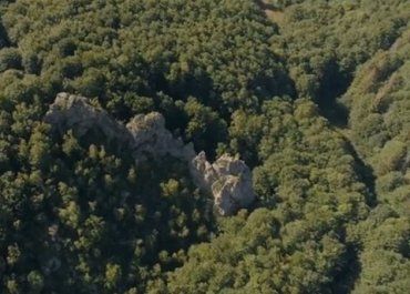 Изюминка национального парка "Смерековый камень" в Закарпатье
