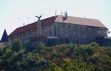 Венгры Закарпатья протестуют против демонтажа орла-турула из замка "Паланок"