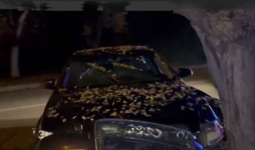 Алкаши атакуют: В Ужгороде водитель разбил свой автомобиль о дерево 