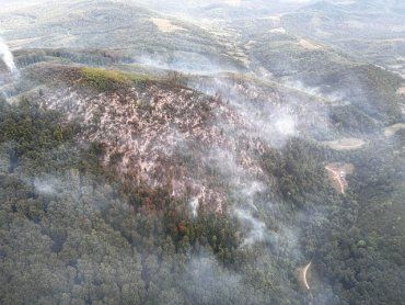 В Закарпатье на землях лесфонда третьи сутки бушует пожар